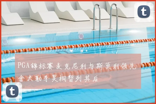PGA锦标赛麦克尼利与斯莫利领先 舍夫勒李昊桐暂列其后