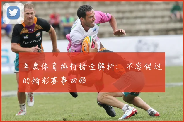 年度体育排行榜全解析:不容错过的精彩赛事回顾