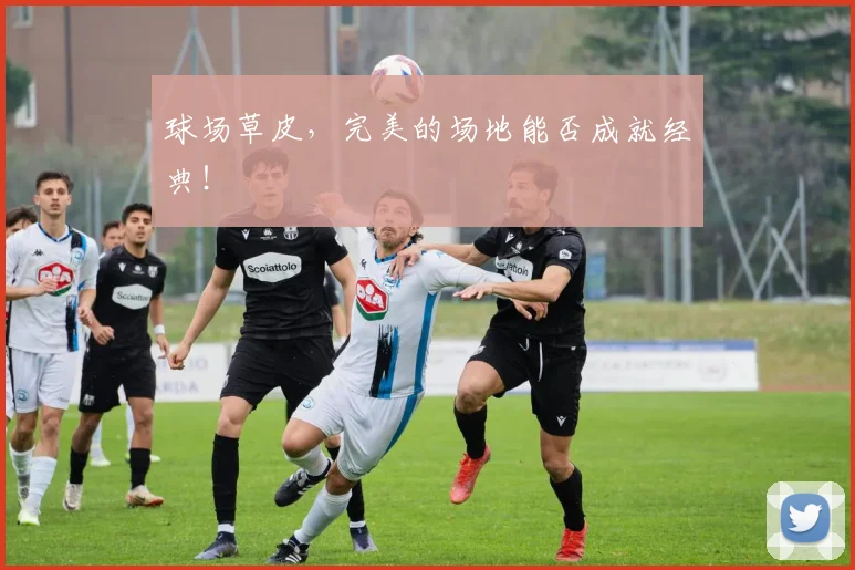 球场草皮，完美的场地能否成就经典！