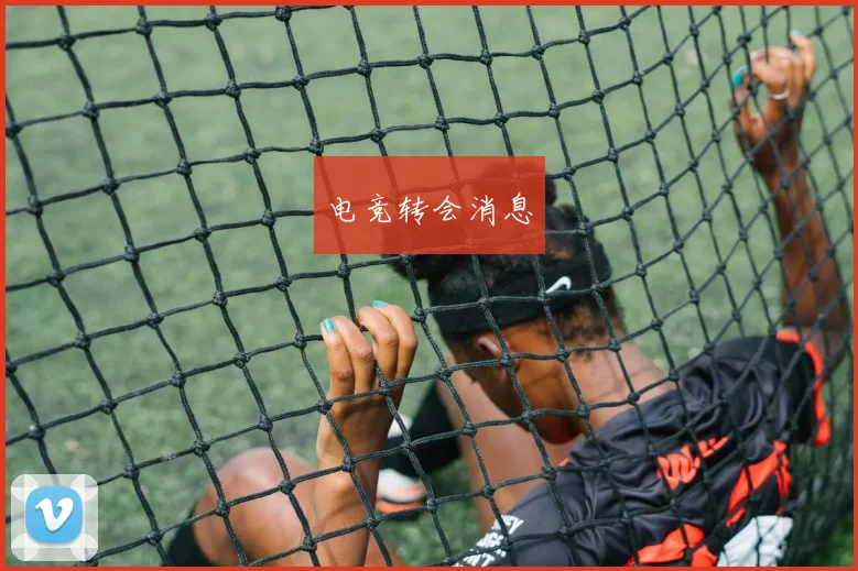 电竞转会消息