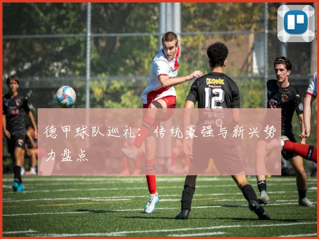 德甲球队巡礼:传统豪强与新兴势力盘点